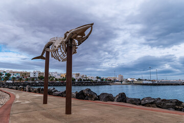 Whale skeleton in Puerto Rosario on Fuerteventura, Spain