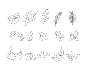set of leaves  vector isolated outline  illustration