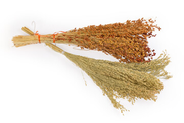 Bundles of ripe proso millet and sorghum on white background