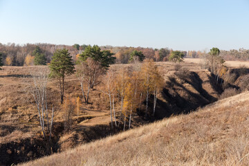 Steep valley slopes with single growing trees in autumn