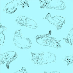 Seamless pattern with cats on a light background