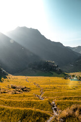 Shoots of beautiful Batad Ifugao