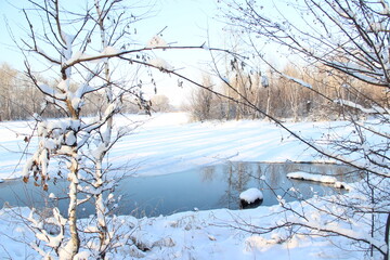 reflection of te trees  on the lake in winter