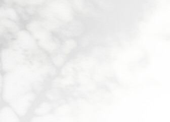 Obraz premium white paper texture