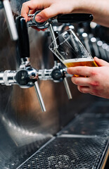 bartender hand at beer tap pouring a draught beer in glass serving in a bar or pub. tap room