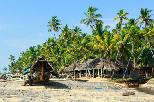 Palm oasis in Varkala, Kerala. India