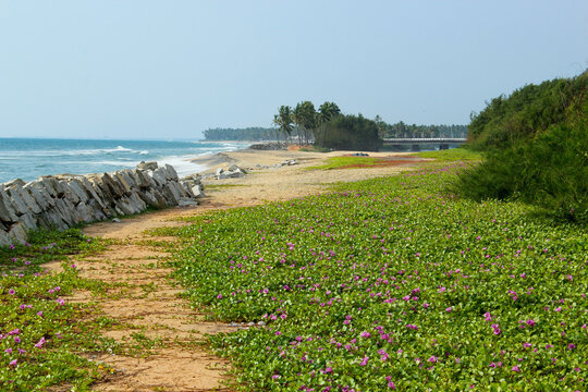 Kappil beach, seascape view, Thiruvananthapuram Kerala. India
