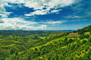 Typical landscape of the east coast of Northland, North Island, New Zealand, with steep hills, forests, green fields and deep valleys
