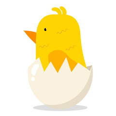 vector flat cute baby chicken Yellow small funny chick hatching from egg. Flat bird animal, isolated illustration on a white background, poultry, farm organic food products advertising design object.
