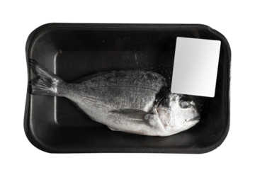 one fresh sea bream in black transparent black vacuum packaging with blank white label isolated on background