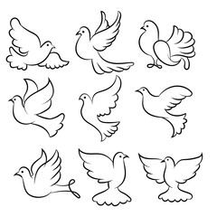 Line art dove set. Flying pigeon logo drawing. Black and white vector illustration.