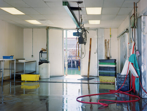 Fish processing room on Maine Wharf in Portland, ME