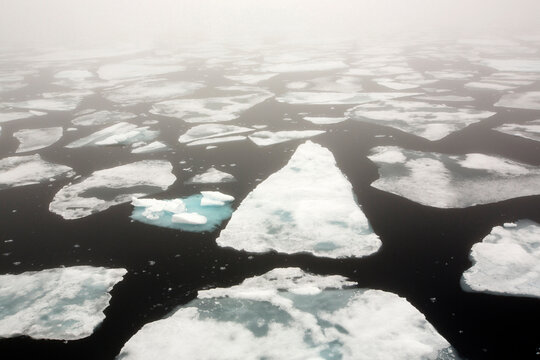 Floe floating on sea