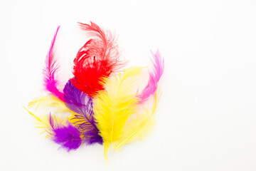 Colorful feathers lying on white table