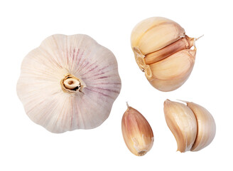 garlic on a white on transparent background. png file - 558889240