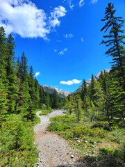 Obraz premium A wonderful time to walk