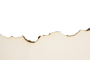 burn paper texture piece torn burned edge