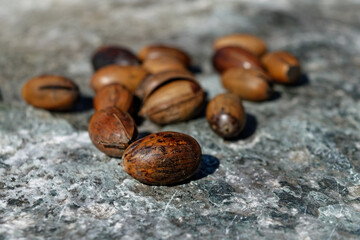 A bunch of dry oak acorns on the background of a stone surface top view.