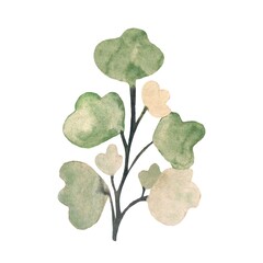 Flower branch green cute a watercolor illustration