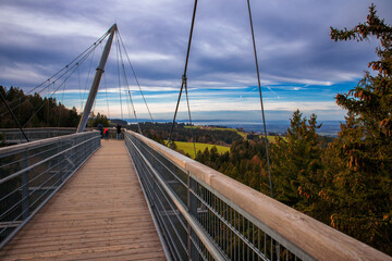 Blick auf den Bodensee vom Scheidegger Skywalk