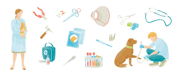 smiling veterinarians examines a dogs. Veterinary clinic, medical service or pet medical center Set of medical tools and healthcare equipment. Color vector illustration