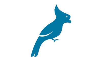 blue parrot bird vector logo