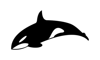 orca killer whale vector logo