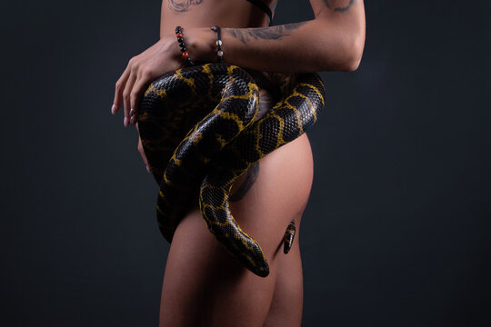 Photo of the woman body in profile with snake anaconda