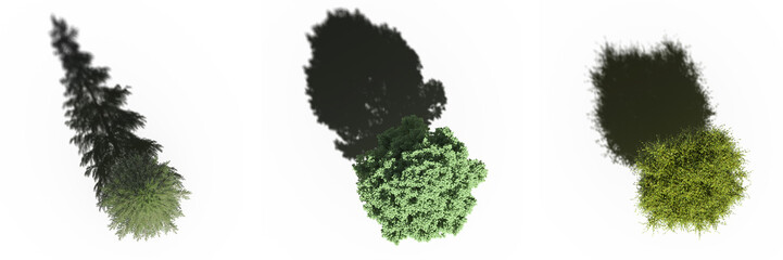 tree with a shadow under it, top view, isolated on white background, 3D illustration, cg render