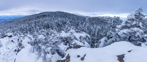 Fototapeta na wymiar 雪の北八ヶ岳 縞枯山スノーハイク