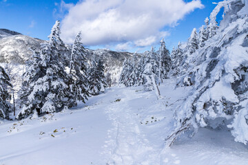 雪の北八ヶ岳 縞枯山スノーハイク