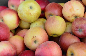 Red apples of the Jonagold variety on the counter of the farmers market. Jonagold apple-tree of American selection with fruits of late winter period. Natural products, seasonal fruits, local food.