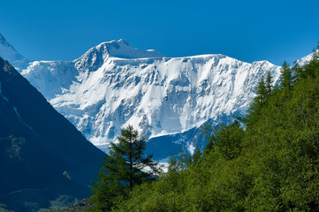 Belukha peak at clear weather