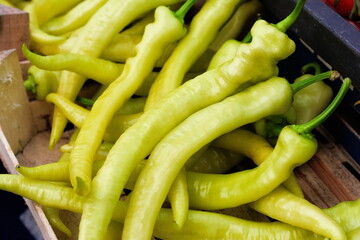 closeup of vivid greed long pod hot chilli peppers organically grown market