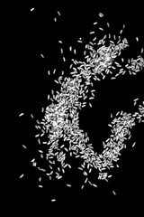 Rice spilled on a black background. Raw white rice explosion isolated on white background. 