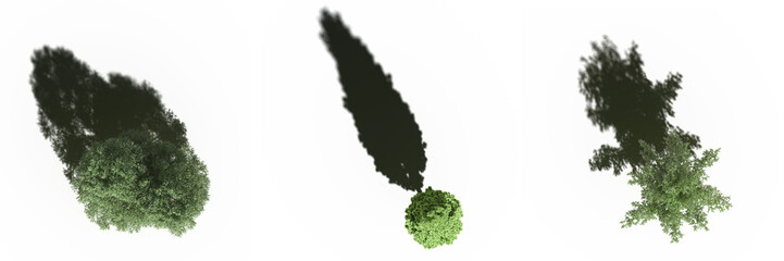 tree with a shadow under it, top view, isolate on a transparent background, 3d illustration © vadim_fl