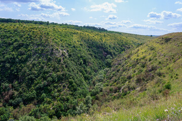 The hilly nature of Eastern Europe. Background with copy space for text, toned