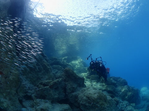 underwater scuba diver taking photos of fish school underwater