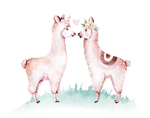 Cute watercolor llama, alpaca illustration isolated on white. Llama print ethnic blanket, flowers wreath, floral bouquet and boho mexican decoration © kris_art