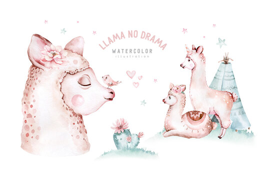Cute watercolor llama, alpaca illustration isolated on white. Llama print ethnic blanket, flowers wreath, floral bouquet and boho mexican decoration