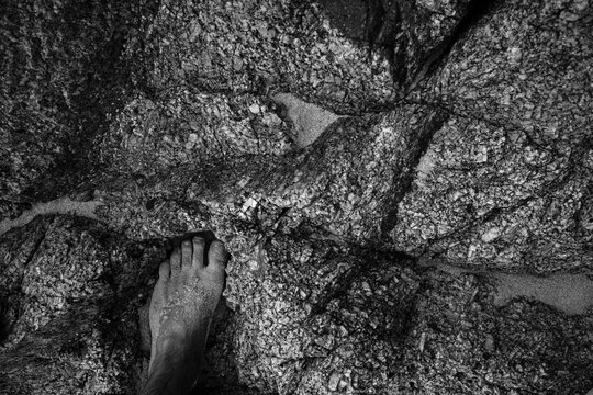 Abstract black and white texture of a seashore stone with cracks and shells with a human foot in the sand. Background .