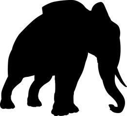 Elephant Silhouette