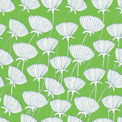 Dandelion flower seamless pattern drawn with lines on light green background, isolated from background, all colors easily changeable.