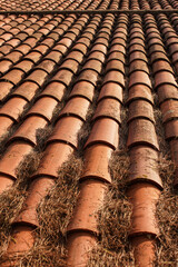 Old slate tiled roof in sunny summer country, lot of dry pine fir needles accumulated inside grooves, closeup detail