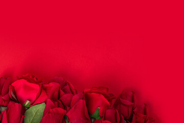 Red background with red roses