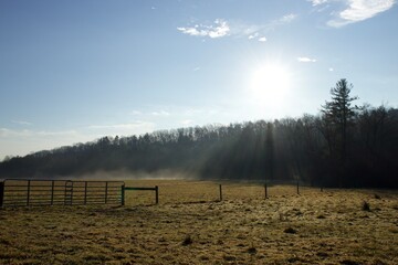 Sunrise through the fog this morning.
