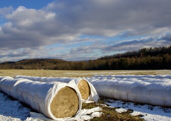 Day after the snow storm in the Valley.