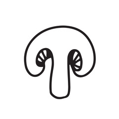 Hand drawn doodle mushroom in section isolated