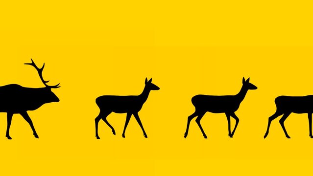 Walking red deer and roe deer, animation on the yellow background