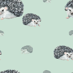 Fototapeta premium Hedgehog pattern. Watercolor seamless pattern. Digital paper.
